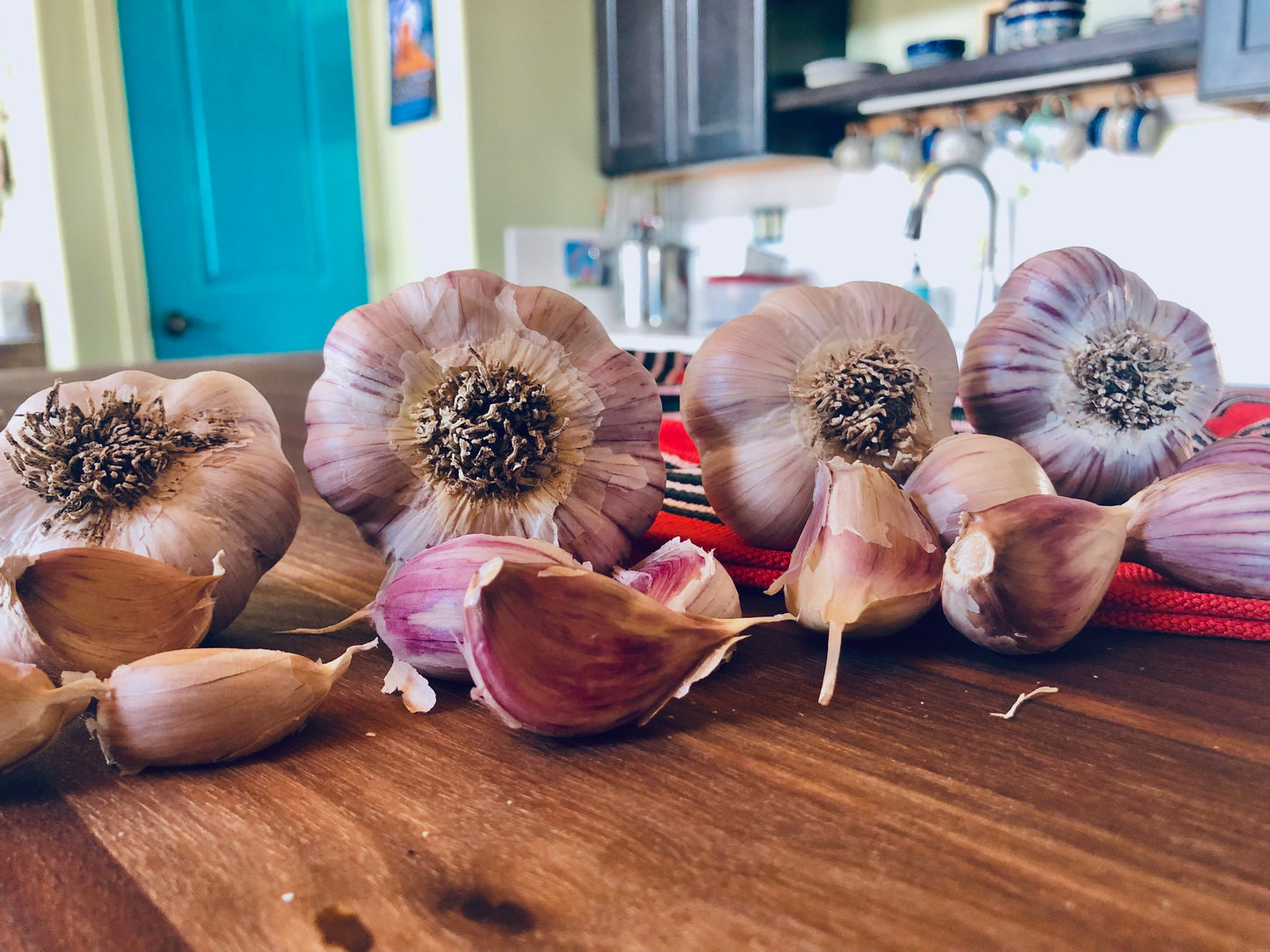 Flight of Garlic