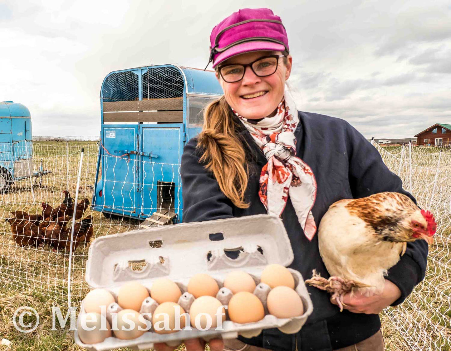 Grassfed Heritage Chicken Eggs