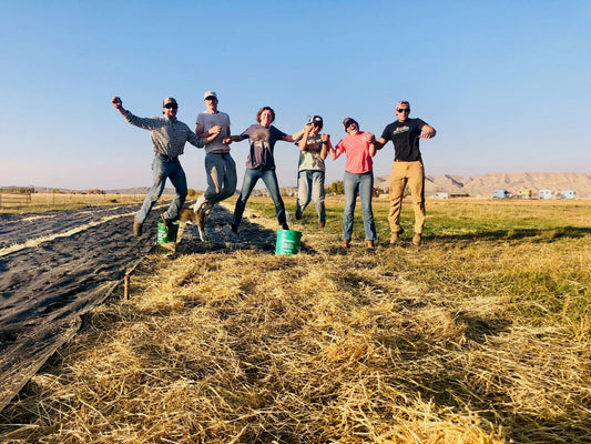 Farm Internships