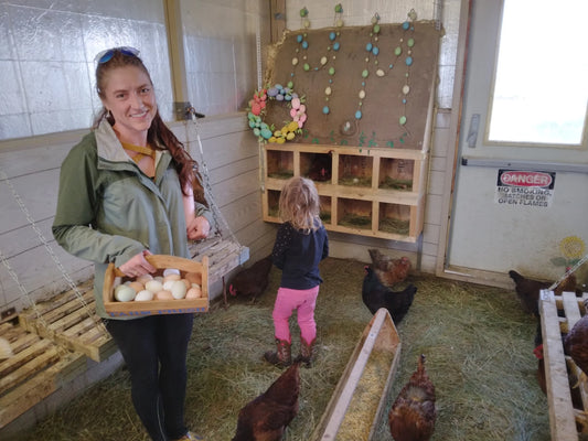 As eggs are harder to get and more expensive, some Wyomingites have decided to raise chickens