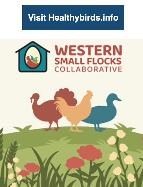 Resource Hub for Small Flock Health