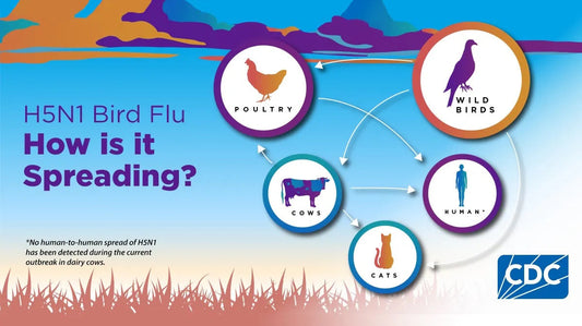 Say No to the Bird Flu